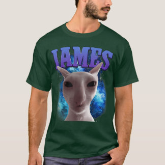 ジェームズヘ 猫 ミーム おもしろい 可愛い 猫 脳内ミーム Tシャツ