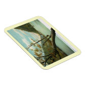 ジェームズリバー、ブルーリッジマウンテンズ、VAヴィンテージ マグネット (右側)