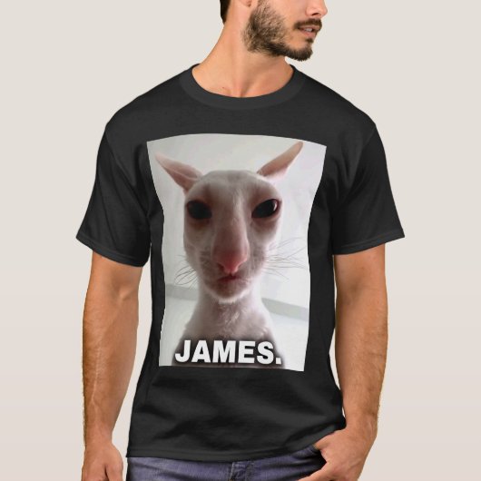 ジェームズ 猫 Tシャツ (正面)