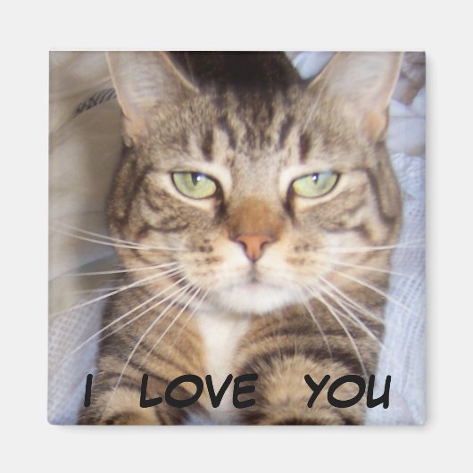 ジェーンは…私はあなたを愛している マグネット (正面)