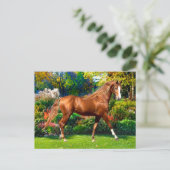 「ジェーン様」 ポストカード (スタンド正面)