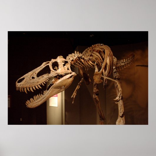 ジェーン – ビュー#6 ポスター (正面)