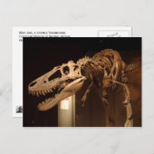 ジェーン – ビュー#6 ポストカード (正面/裏面)