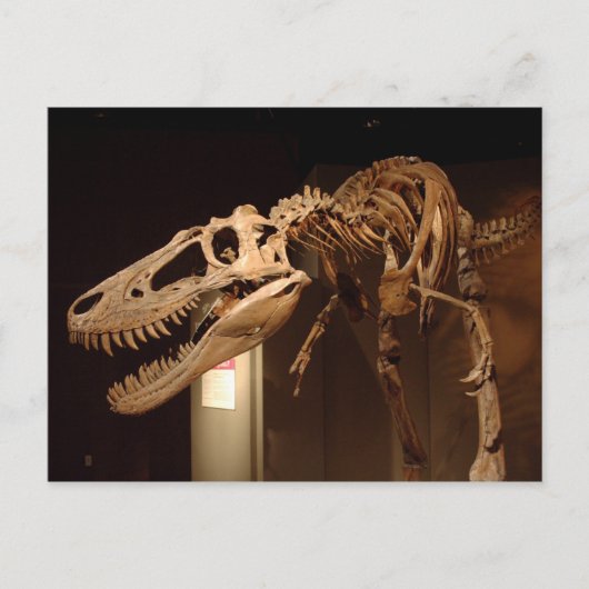 ジェーン – ビュー#6 ポストカード (正面)