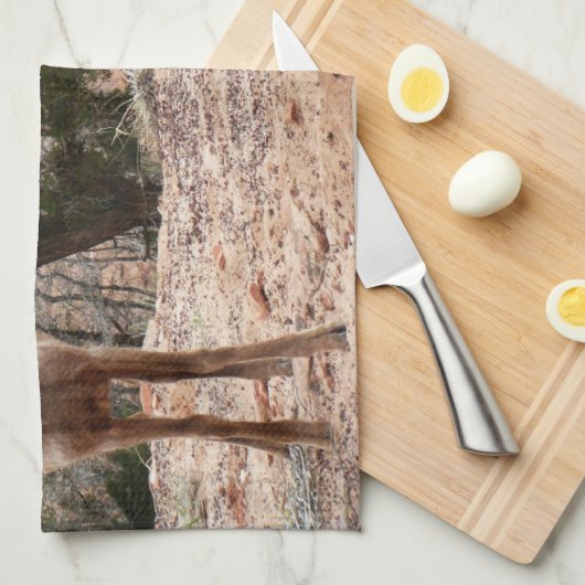 ジオおもしろいン国立公園のヒツジ キッチンタオル (四つ折り)