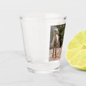 ジオおもしろいン国立公園のヒツジ ショットグラス (左)