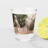 ジオおもしろいン国立公園のヒツジ ショットグラス (正面)