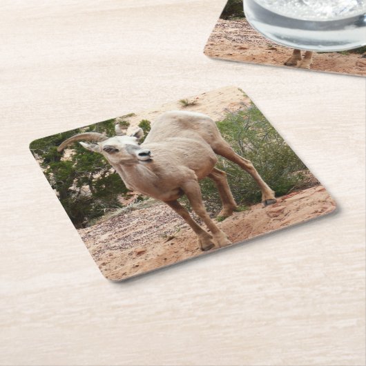 ジオおもしろいン国立公園のヒツジ スクエアペーパーコースター (アングル)