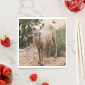 ジオおもしろいン国立公園のヒツジ スタンダードランチョンナプキン (インサイチュ)