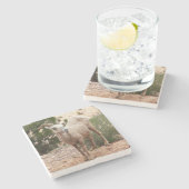 ジオおもしろいン国立公園のヒツジ ストーンコースター (横)