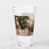 ジオおもしろいン国立公園のヒツジ タンブラーグラス (正面)