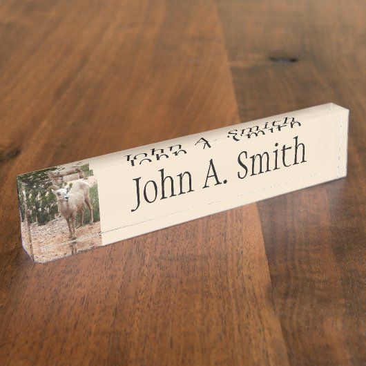 ジオおもしろいン国立公園のヒツジ デスクネームプレート (側面)