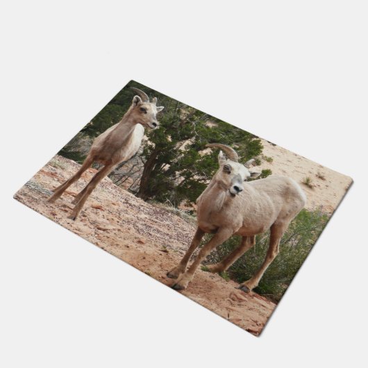 ジオおもしろいン国立公園のヒツジ ドアマット (アングル)