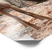 ジオおもしろいン国立公園のヒツジ フォトプリント (角)