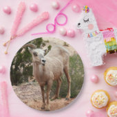 ジオおもしろいン国立公園のヒツジ ペーパープレート (パーティー)