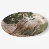 ジオおもしろいン国立公園のヒツジ ペーパープレート (アングル)