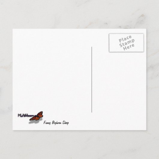 ジオおもしろいン国立公園のヒツジ ポストカード (裏面)