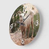 ジオおもしろいン国立公園のヒツジ ラージ壁時計 (傾斜)