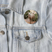 ジオおもしろいン国立公園のヒツジ 缶バッジ (インサイチュ)