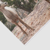 ジオおもしろいン国立公園のヒツジ 薄葉紙 (詳細)