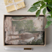 ジオおもしろいン国立公園のヒツジ 薄葉紙 (ギフト)