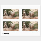 ジオおもしろいン国立公園のヒツジ 長方形シール (シート)