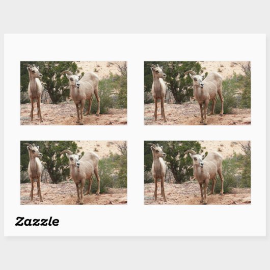 ジオおもしろいン国立公園のヒツジ 長方形シール (シート)