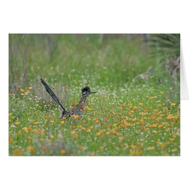 ジオコク素晴らしシクス・ロードランナー (正面横)