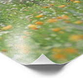 ジオコク素晴らしシクス・ロードランナー フォトプリント            (角)