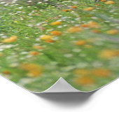 ジオコク素晴らしシクス・ロードランナー ポスター (角)