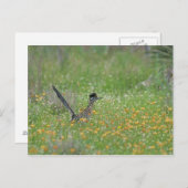 ジオコク素晴らしシクス・ロードランナー ポストカード (正面/裏面)