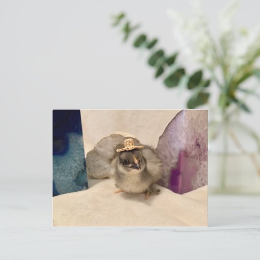 ジオドゥ ポストカード (スタンド正面)