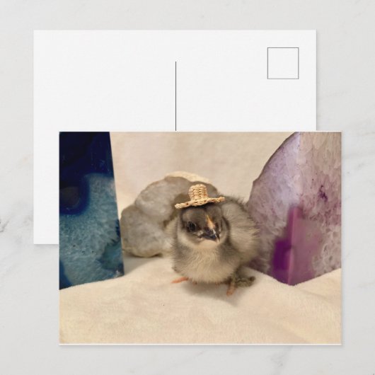 ジオドゥ ポストカード (正面/裏面)