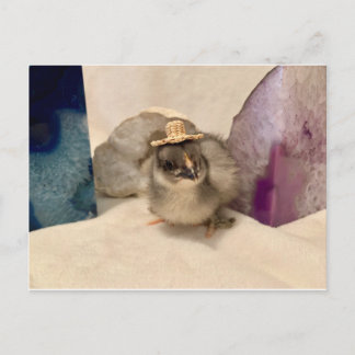 ジオドゥ ポストカード