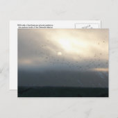 ジオメード11葉書 ポストカード (正面/裏面)