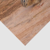 ジオンの赤い岩のシマリス 薄葉紙 (詳細)