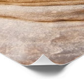 ジオンキャニオンウォールI抽象芸術自然撮影 ポスター (コーナー)