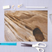 ジオンキャニオンウォールI抽象芸術自然撮影 薄葉紙 (クラフト)