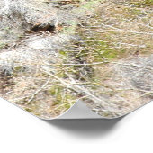 ジオンキャニオン ポスター (角)