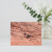 ジオンビグーンシープポストカード ポストカード (スタンド正面)