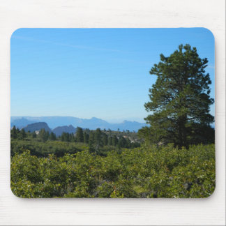 ジオンポンデローサ マウスパッド