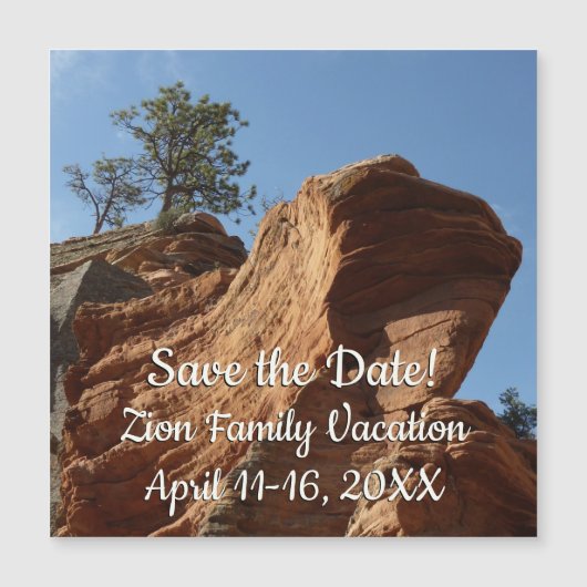 ジオン国立公園に着陸する天使まで (正面)