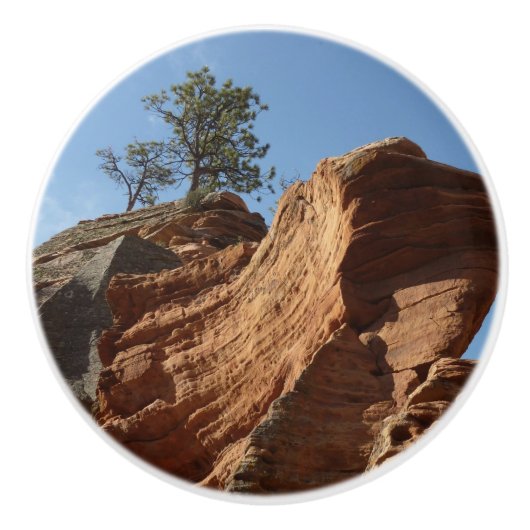 ジオン国立公園に着陸する天使まで セラミックノブ (正面)