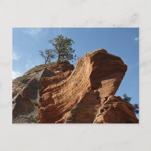 ジオン国立公園に着陸する天使まで ポストカード (正面)