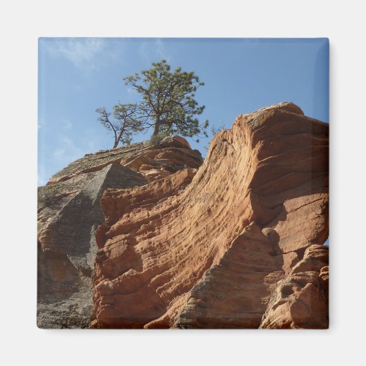 ジオン国立公園に着陸する天使まで マグネット (正面)