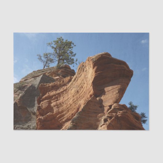 ジオン国立公園に着陸する天使まで 薄葉紙 (正面)