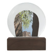 ジオン国立公園の岩の間に生える木 スノーグローブ (裏面)