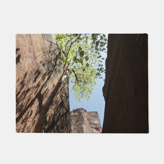 ジオン国立公園の岩の間に生える木 ドアマット (正面)