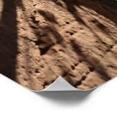 ジオン国立公園の岩の間に生える木 ポスター (角)