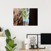 ジオン国立公園の岩の間に生える木 ポスター (ホームオフィス)